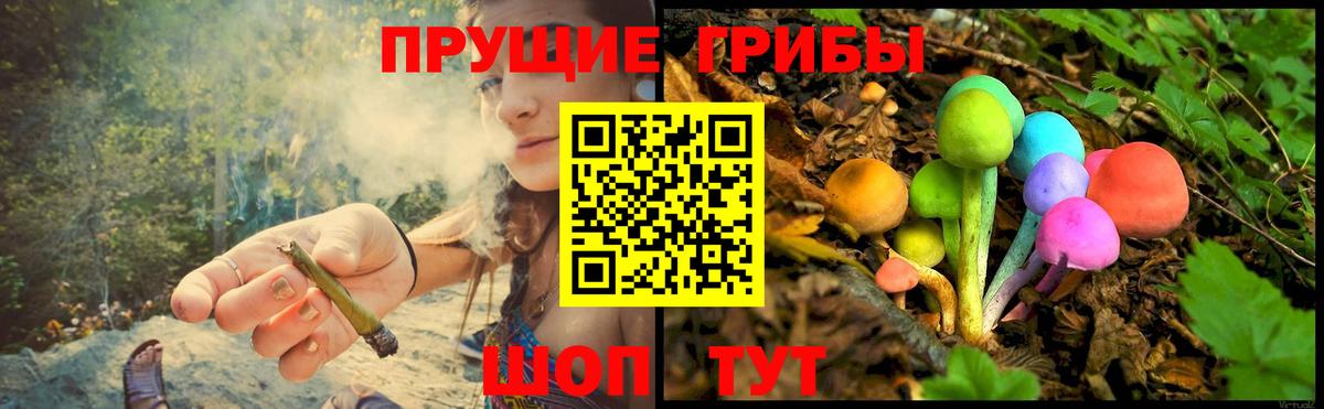 Семёнов  Галлюциногенные грибы GOLDEN TEACHER  Псилоцибиновые грибы MAGIC MUSHROOMS  Вход с VPN 
